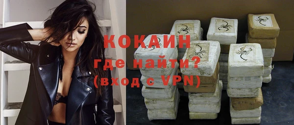 крисы Бородино