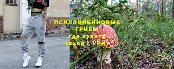 крисы Бородино