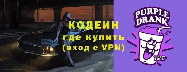 крисы Бородино