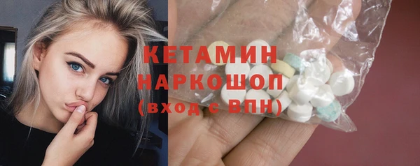 крисы Бородино