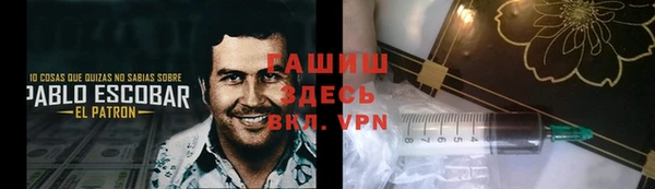 крисы Бородино