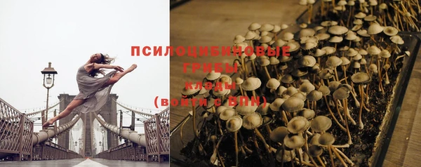 стафф Богородск